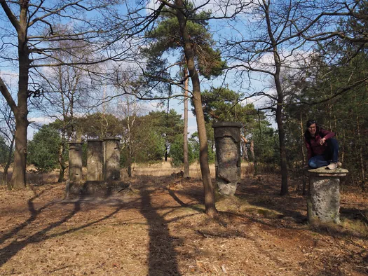 Kalmthoutse Heide, Kalmthout (België)